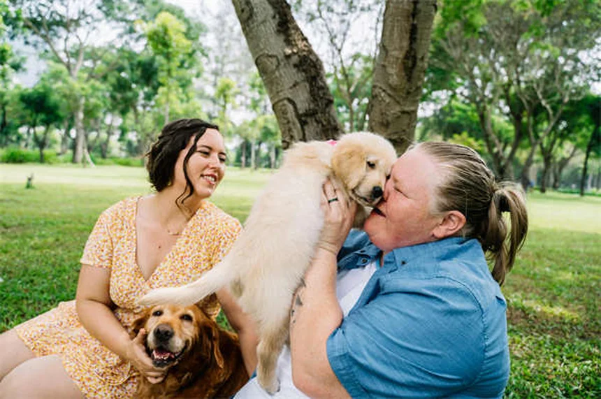 5 consejos esenciales para cuidar a tu perro mayor como un experto