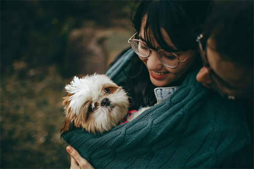 ¿Necesitas un especialista en comportamiento canino? Soluciones para perros problemáticos